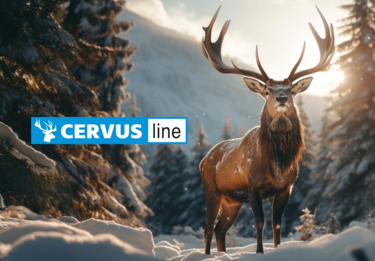 cervus