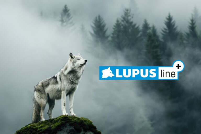 lupus